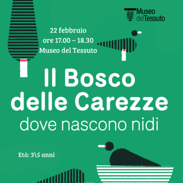 Il Bosco delle Carezze: dove nascono nidi - 22 febbraio 2026